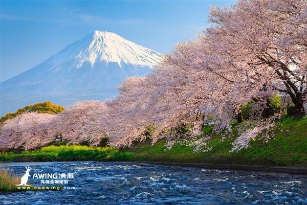 澳威全屋定制：富士山美景